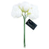 5 Heads Poly Rose Flowers Bunch (available in 3 colours)